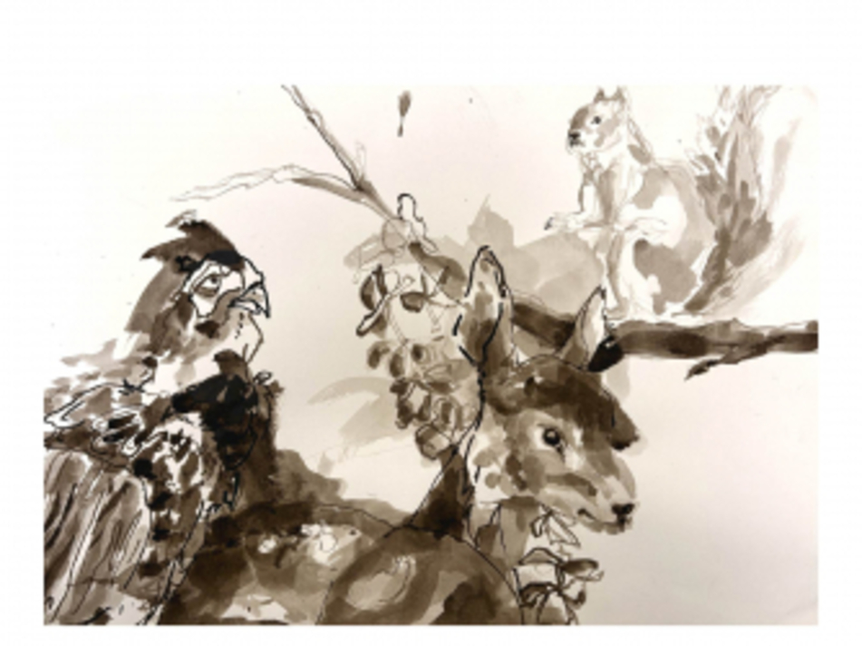 Tierzeichnen im arte fact Bonn