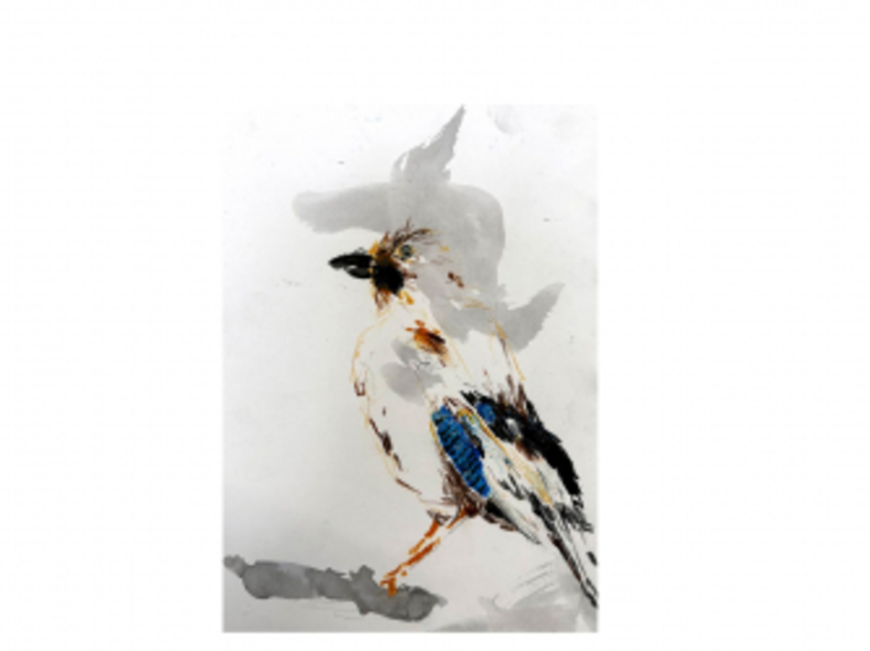 Tierzeichnen im arte fact Bonn